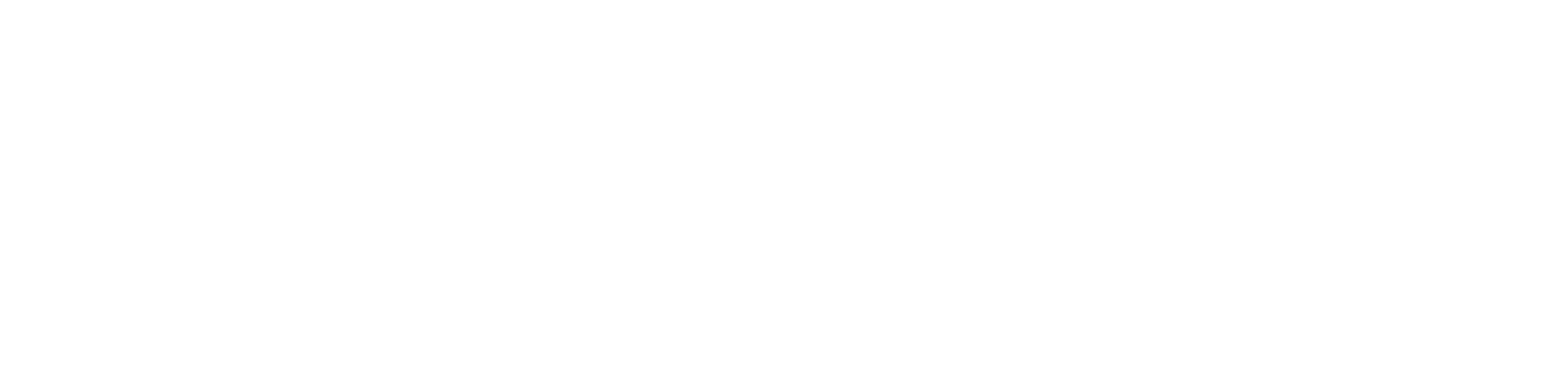 Optiverifi